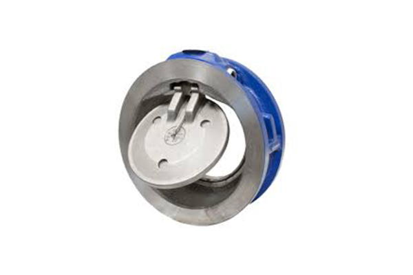 Disk Check Valves