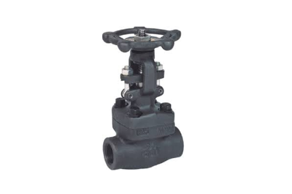 Forged GGC Valves